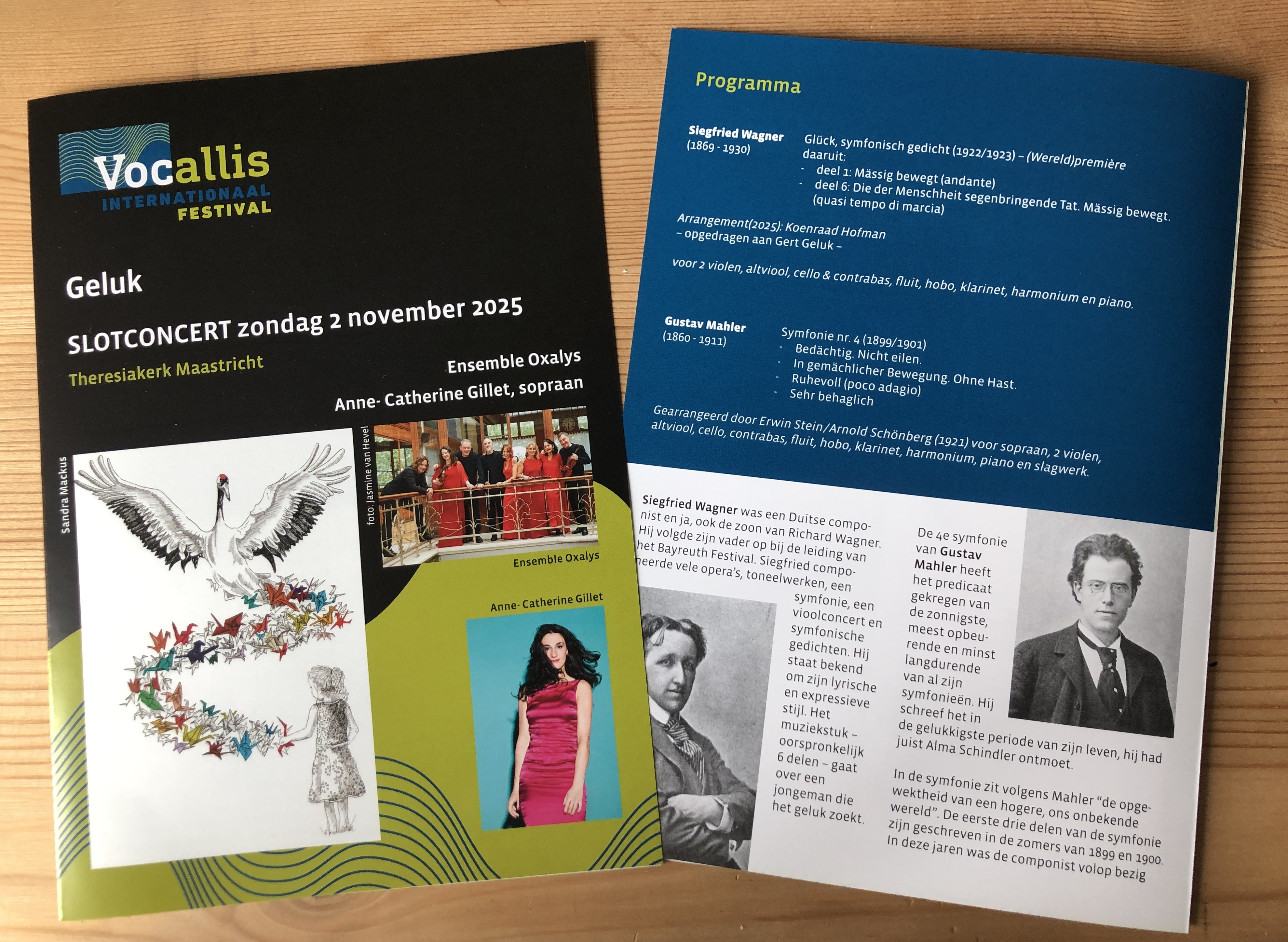 Maastricht programmablaadje Oxalys